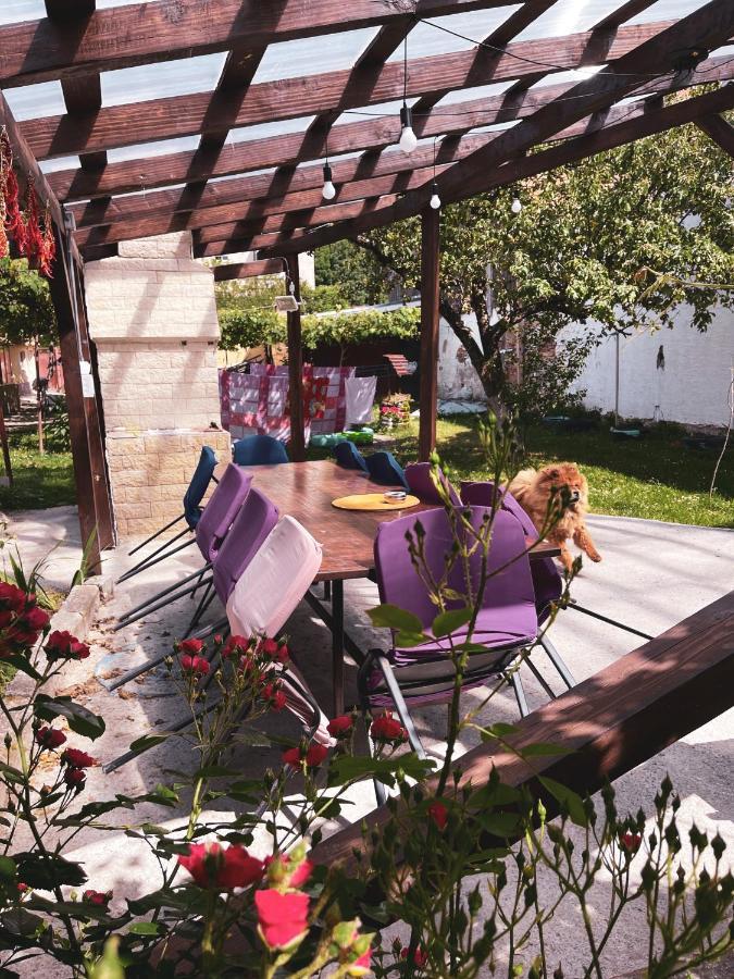 Yard Studio Rasnov Lägenhet Exteriör bild